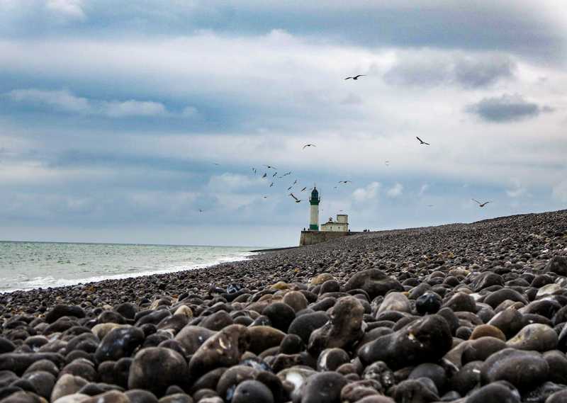 Birds flying across a stone-lined beach with a lifehouse